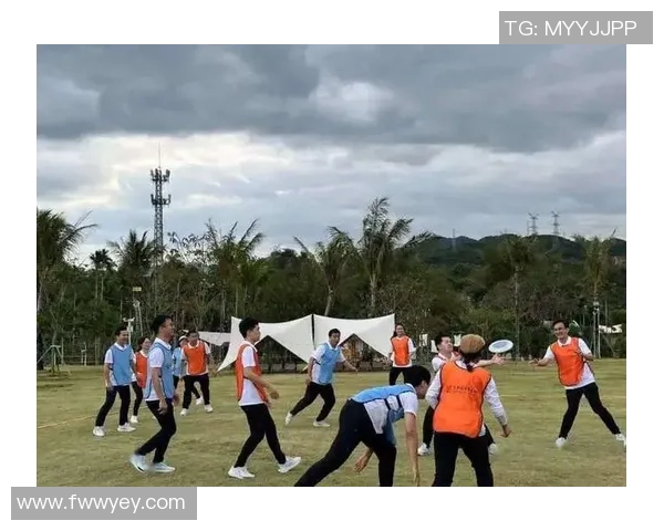 武汉飞盘队与深圳飞盘队赛后复盘分析团队意识与战术执行的对比